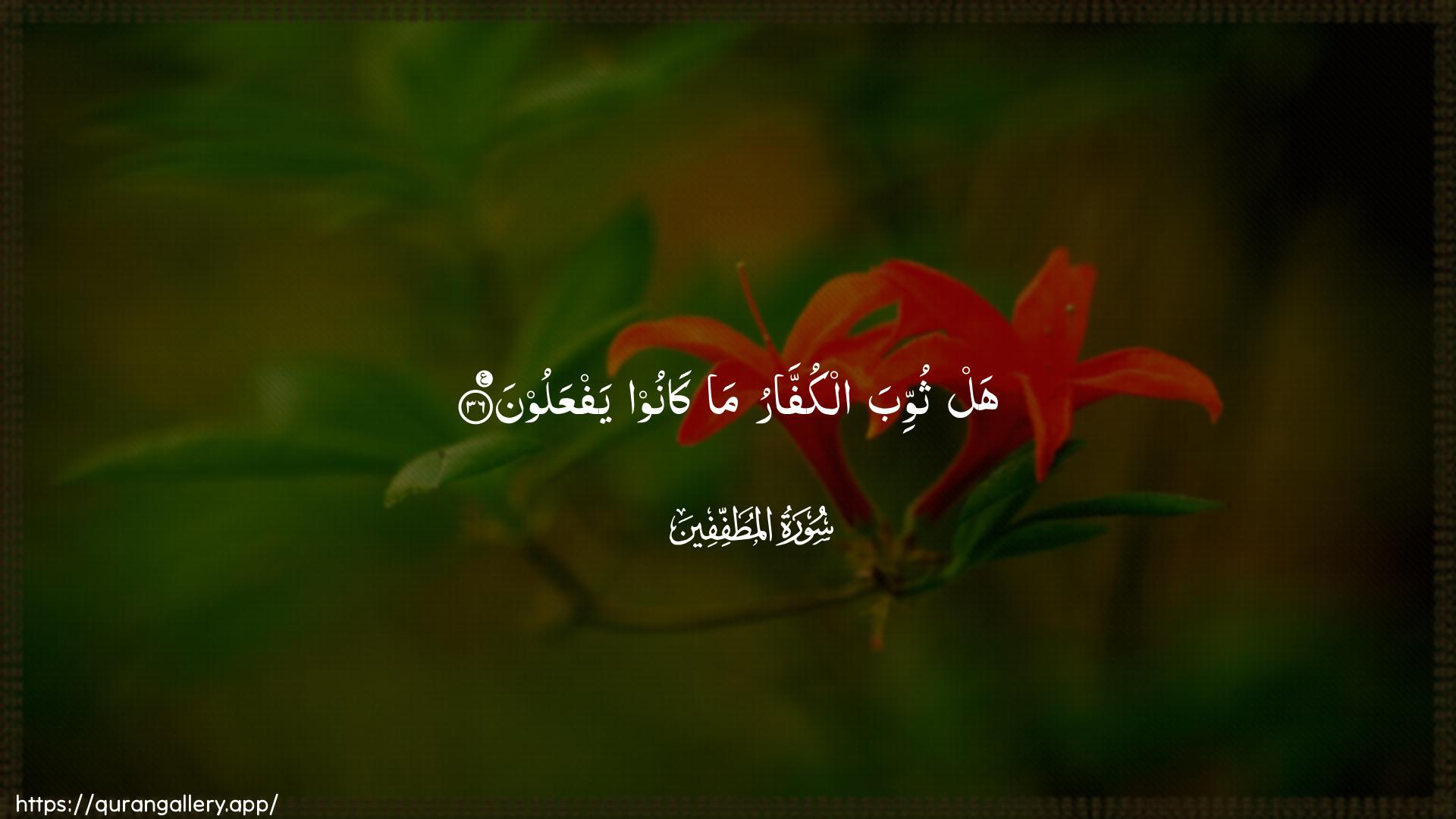 Surah Al-Mutaffifin Ayah 36 of 83 HD Wallpaper: Download Beautiful horizontal Quran Verse Image | Hal thuwwiba alkuffaru ma kanooyafAAaloon