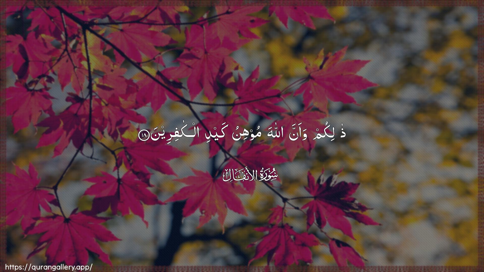 Surah Al-Anfaal Ayah 18 of 8 HD Wallpaper: Download Beautiful horizontal Quran Verse Image | Thalikum waanna Allaha moohinukaydi alkafireen