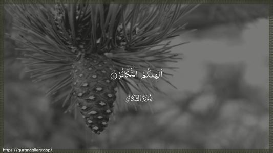 At-Takaathur Ayah 1 - Arabic (Wide) wallpaper