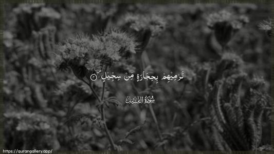 Al-Fil Ayah 4 - Arabic (Wide) wallpaper