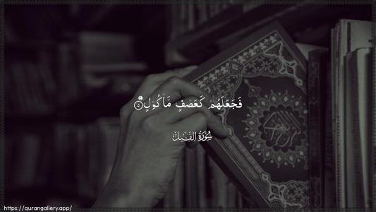 Al-Fil Ayah 5 - Arabic (Wide) wallpaper