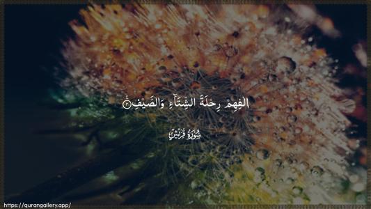 Quraish Ayah 2 - Arabic (Wide) wallpaper