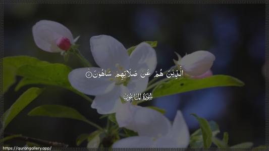 Al-Maa"un Ayah 5 - Arabic (Wide) wallpaper