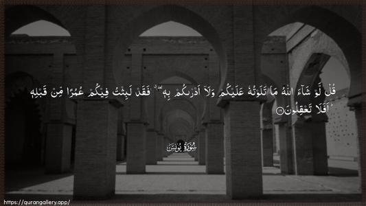 Yunus Ayah 16 - Arabic (Wide) wallpaper