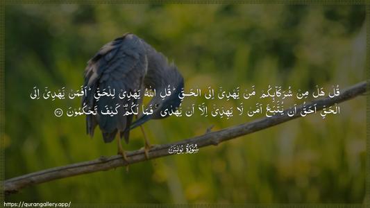 Yunus Ayah 35 - Arabic (Wide) wallpaper