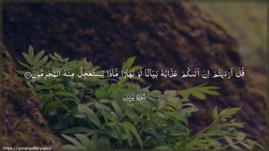 Yunus Ayah 50 - Arabic (Wide) wallpaper