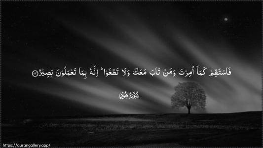 Hud Ayah 112 - Arabic (Wide) wallpaper