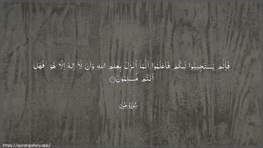 Hud Ayah 14 - Arabic (Wide) wallpaper