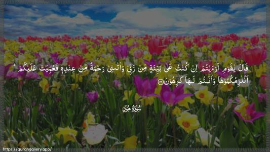 Hud Ayah 28 - Arabic (Wide) wallpaper