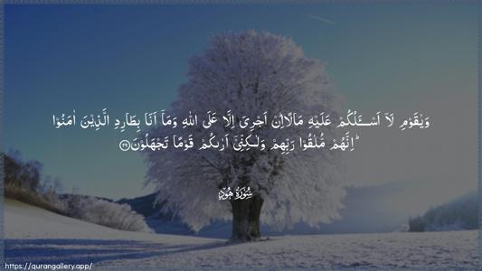Hud Ayah 29 - Arabic (Wide) wallpaper