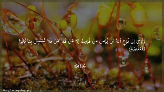 Hud Ayah 36 - Arabic (Wide) wallpaper
