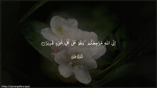 Hud Ayah 4 - Arabic (Wide) wallpaper