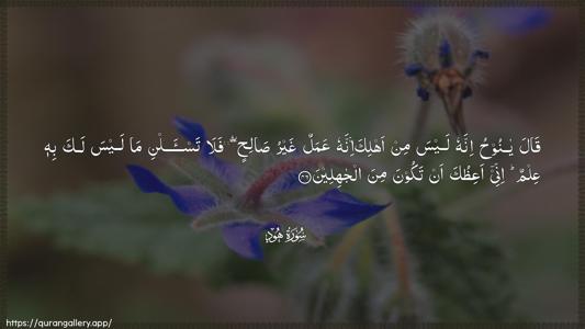 Hud Ayah 46 - Arabic (Wide) wallpaper
