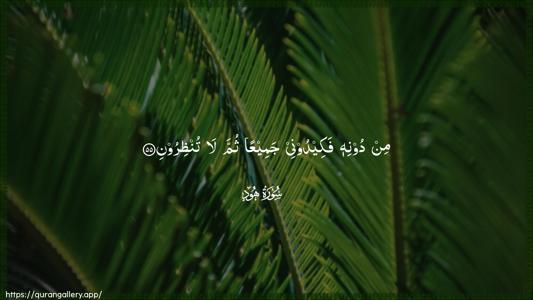 Hud Ayah 55 - Arabic (Wide) wallpaper