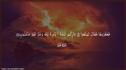 Hud Ayah 65 - Arabic (Wide) wallpaper