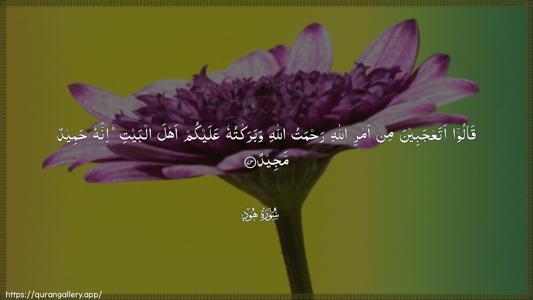 Hud Ayah 73 - Arabic (Wide) wallpaper