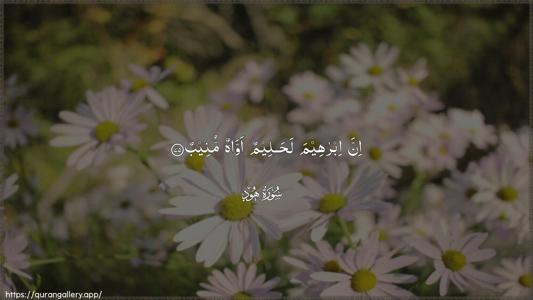 Hud Ayah 75 - Arabic (Wide) wallpaper