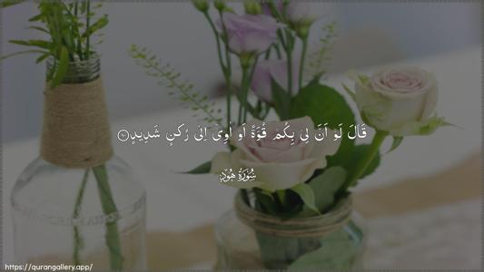 Hud Ayah 80 - Arabic (Wide) wallpaper