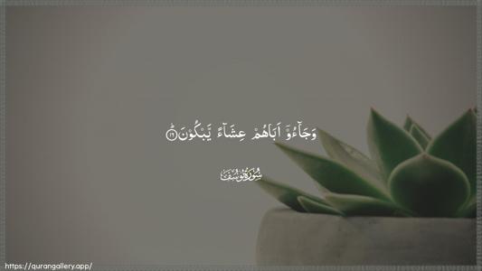 Yusuf Ayah 16 - Arabic (Wide) wallpaper