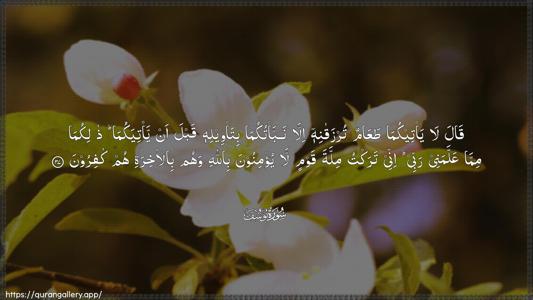 Yusuf Ayah 37 - Arabic (Wide) wallpaper