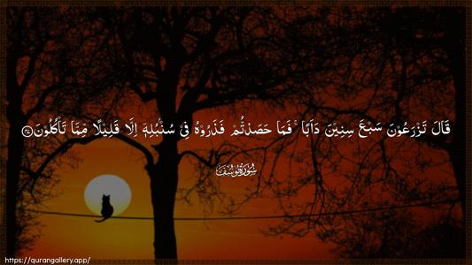 Yusuf Ayah 47 - Arabic (Wide) wallpaper