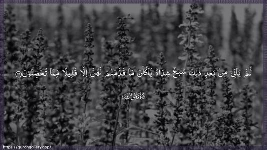 Yusuf Ayah 48 - Arabic (Wide) wallpaper