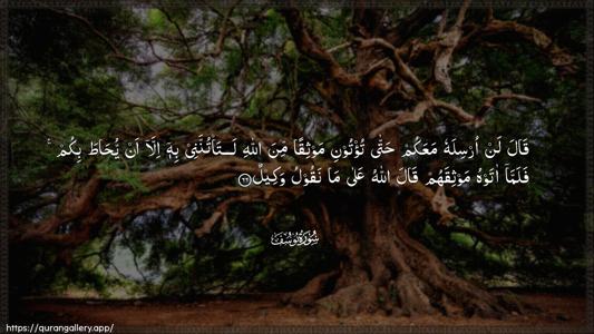 Yusuf Ayah 66 - Arabic (Wide) wallpaper