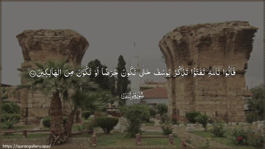 Yusuf Ayah 85 - Arabic (Wide) wallpaper