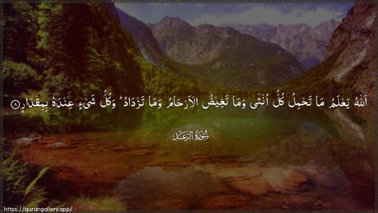 Ar-Ra"d Ayah 8 - Arabic (Wide) wallpaper