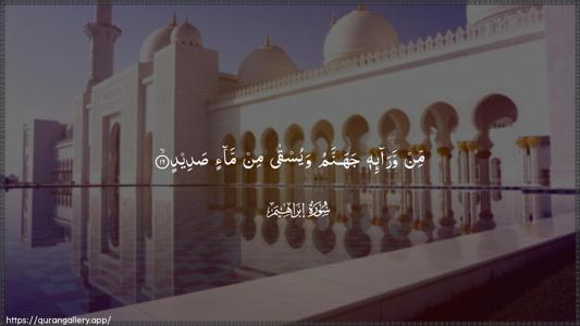 Ibrahim Ayah 16 - Arabic (Wide) wallpaper