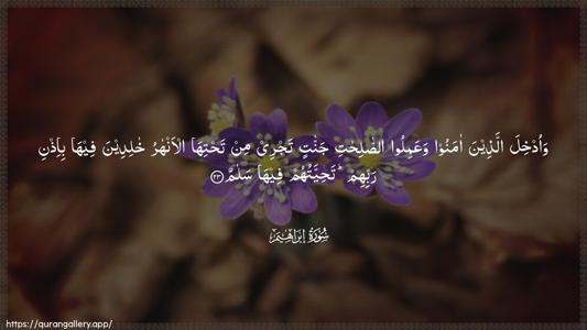 Ibrahim Ayah 23 - Arabic (Wide) wallpaper