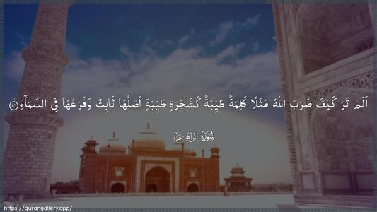 Ibrahim Ayah 24 - Arabic (Wide) wallpaper