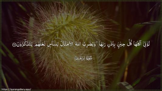 Ibrahim Ayah 25 - Arabic (Wide) wallpaper