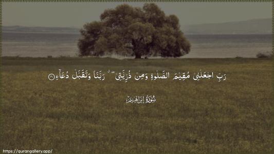 Ibrahim Ayah 40 - Arabic (Wide) wallpaper