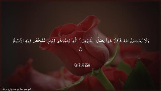 Ibrahim Ayah 42 - Arabic (Wide) wallpaper
