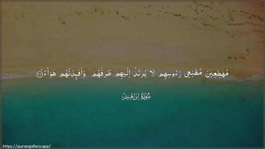 Ibrahim Ayah 43 - Arabic (Wide) wallpaper