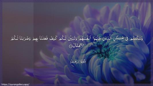 Ibrahim Ayah 45 - Arabic (Wide) wallpaper