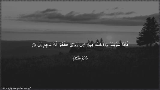 Al-Hijr Ayah 29 - Arabic (Wide) wallpaper
