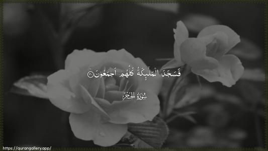 Al-Hijr Ayah 30 - Arabic (Wide) wallpaper