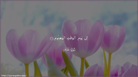 Al-Hijr Ayah 38 - Arabic (Wide) wallpaper