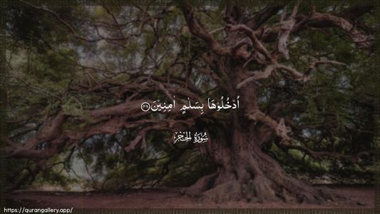 Al-Hijr Ayah 46 - Arabic (Wide) wallpaper
