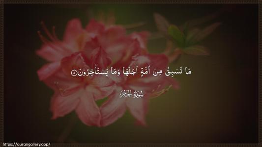 Al-Hijr Ayah 5 - Arabic (Wide) wallpaper