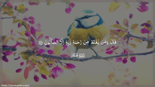 Al-Hijr Ayah 56 - Arabic (Wide) wallpaper