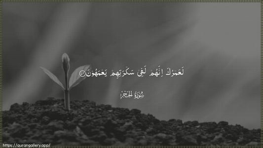 Al-Hijr Ayah 72 - Arabic (Wide) wallpaper