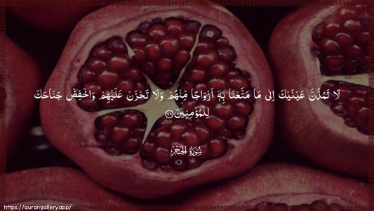 Al-Hijr Ayah 88 - Arabic (Wide) wallpaper