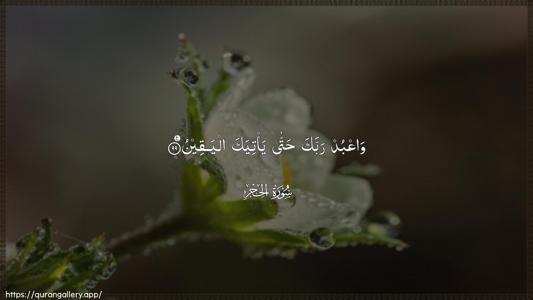 Al-Hijr Ayah 99 - Arabic (Wide) wallpaper