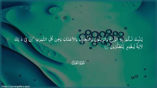 An-Nahl Ayah 11 - Arabic (Wide) wallpaper