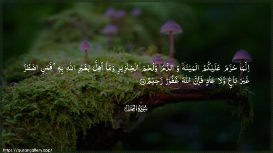 An-Nahl Ayah 115 - Arabic (Wide) wallpaper