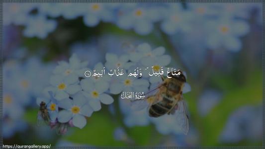 An-Nahl Ayah 117 - Arabic (Wide) wallpaper