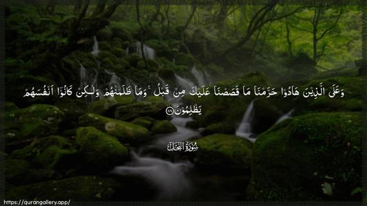 An-Nahl Ayah 118 - Arabic (Wide) wallpaper